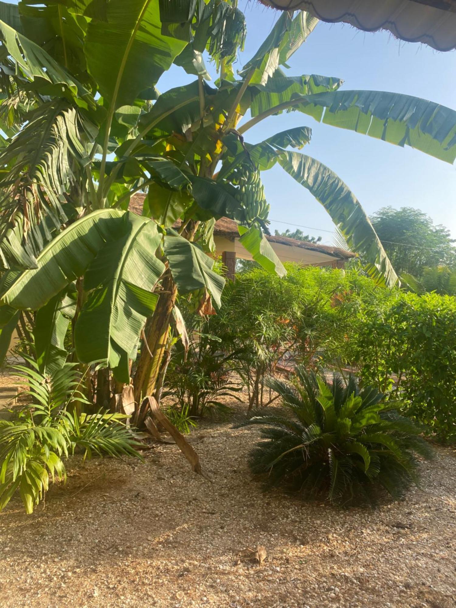 Villa Nemocotier Cap Skirring Bagian luar foto